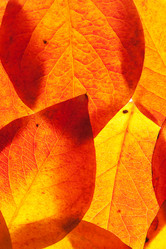 Similar image 10845133