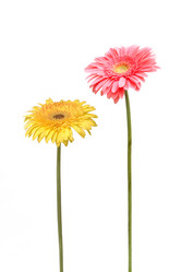 Similar image 10845136