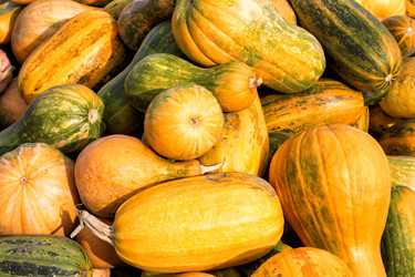 Similar image 10845166