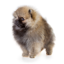 Similar image 10845171