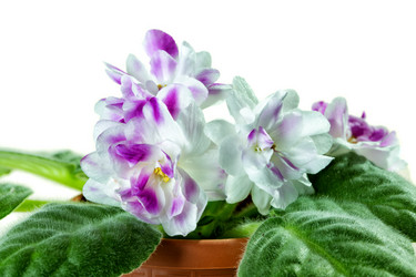 Similar image 10845204