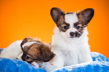 Similar image 10845209