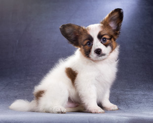 Similar image 10845212