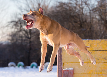 Similar image 10845218