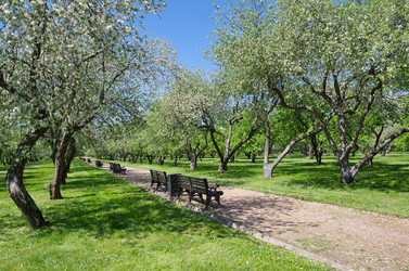 Similar image 10845742