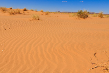 Similar image 10845829