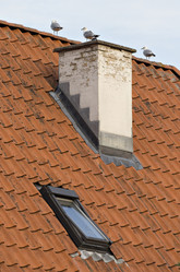 Similar image 10845975