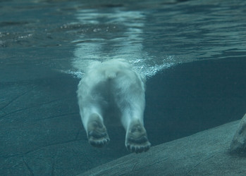 Similar image 10845991