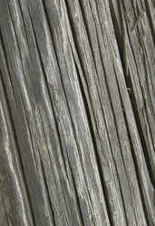 Similar image 10846008