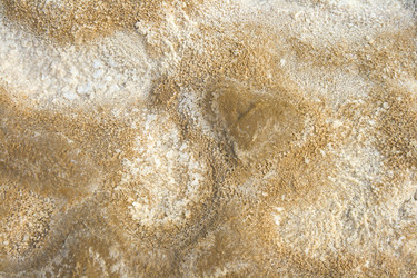 Similar image 10846016