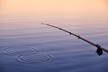 Similar image 10846069