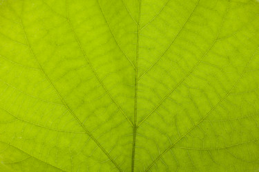 Similar image 10846292