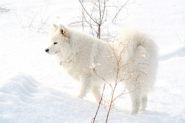 Similar image 10846298