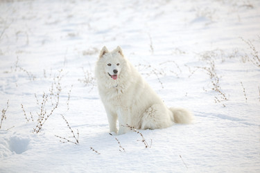 Similar image 10846310