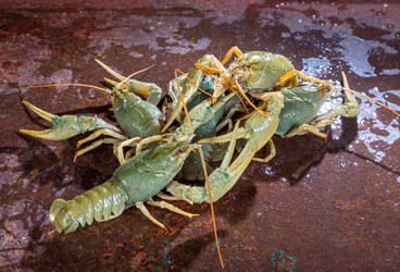 Similar image 10846320