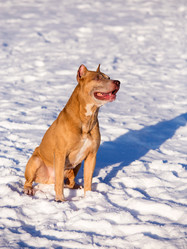 Similar image 10846322