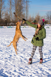 Similar image 10846323