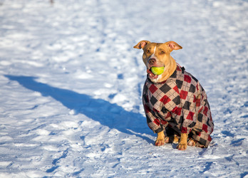 Similar image 10846325