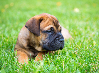 Similar image 10846328