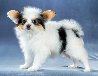 Similar image 10846333