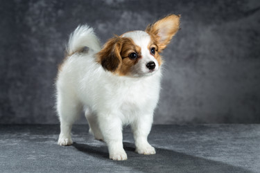 Similar image 10846334