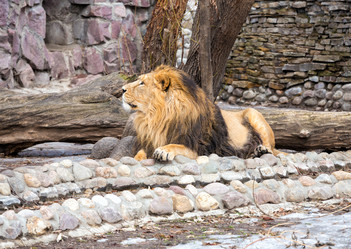 Similar image 10846341