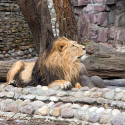 Similar image 10846343