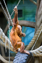 Similar image 10846346