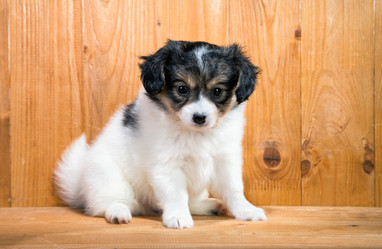 Similar image 10846347