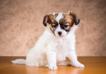 Similar image 10846365