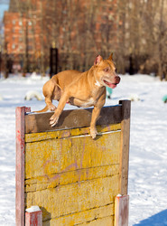 Similar image 10846379