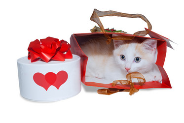 Similar image 10846521