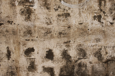 Similar image 10846542