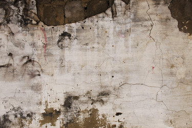 Similar image 10846545