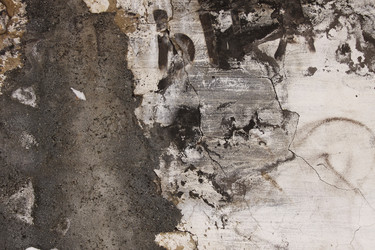 Similar image 10846558