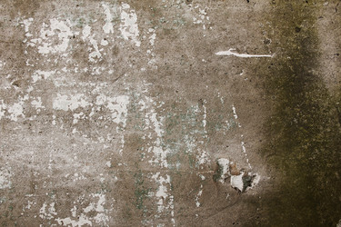 Similar image 10846560