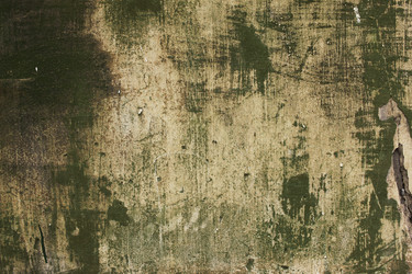 Similar image 10846561