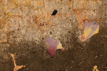 Similar image 10846573