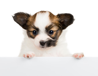 Similar image 10846578