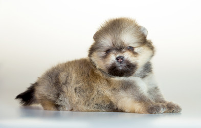 Similar image 10846590