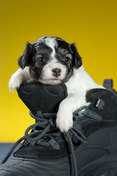 Similar image 10846622