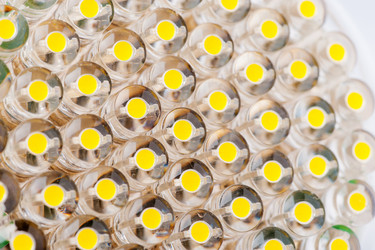 Similar image 10846741