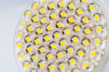 Similar image 10846749