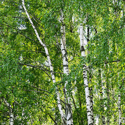 Similar image 10846766