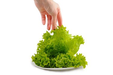 Similar image 10846775