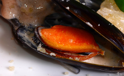 Similar image 10846826