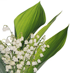 Similar image 10846856