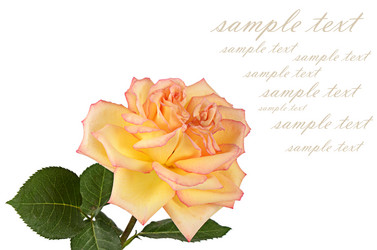 Similar image 10846871