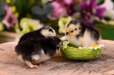 Similar image 10846872