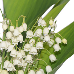 Similar image 10846878